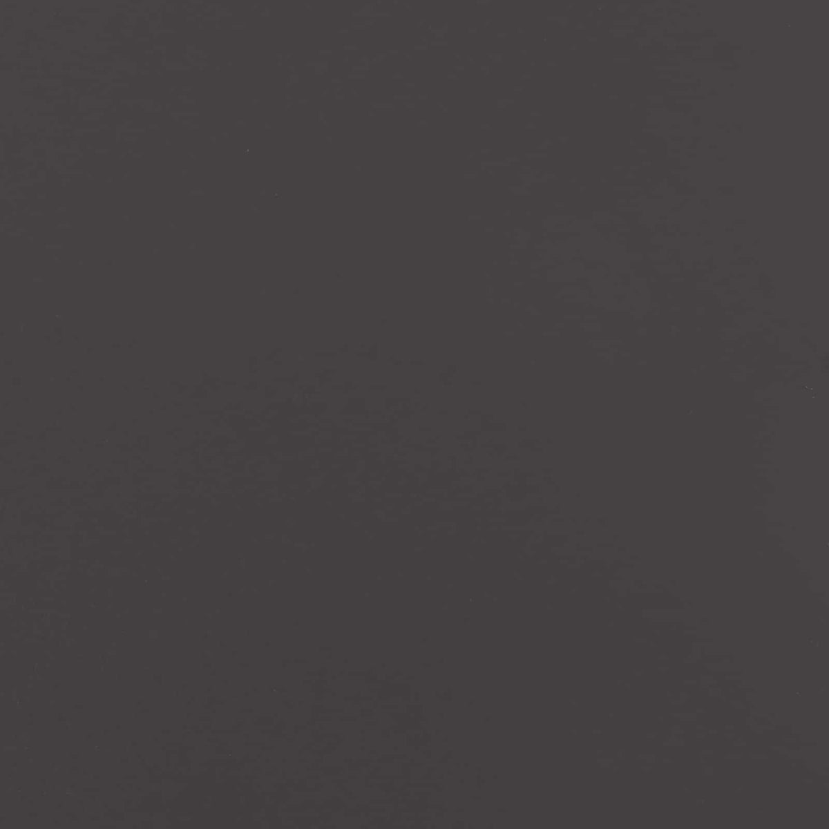 Garden Privacy Screen Black 50 x 140 cm Cold-rolled steel