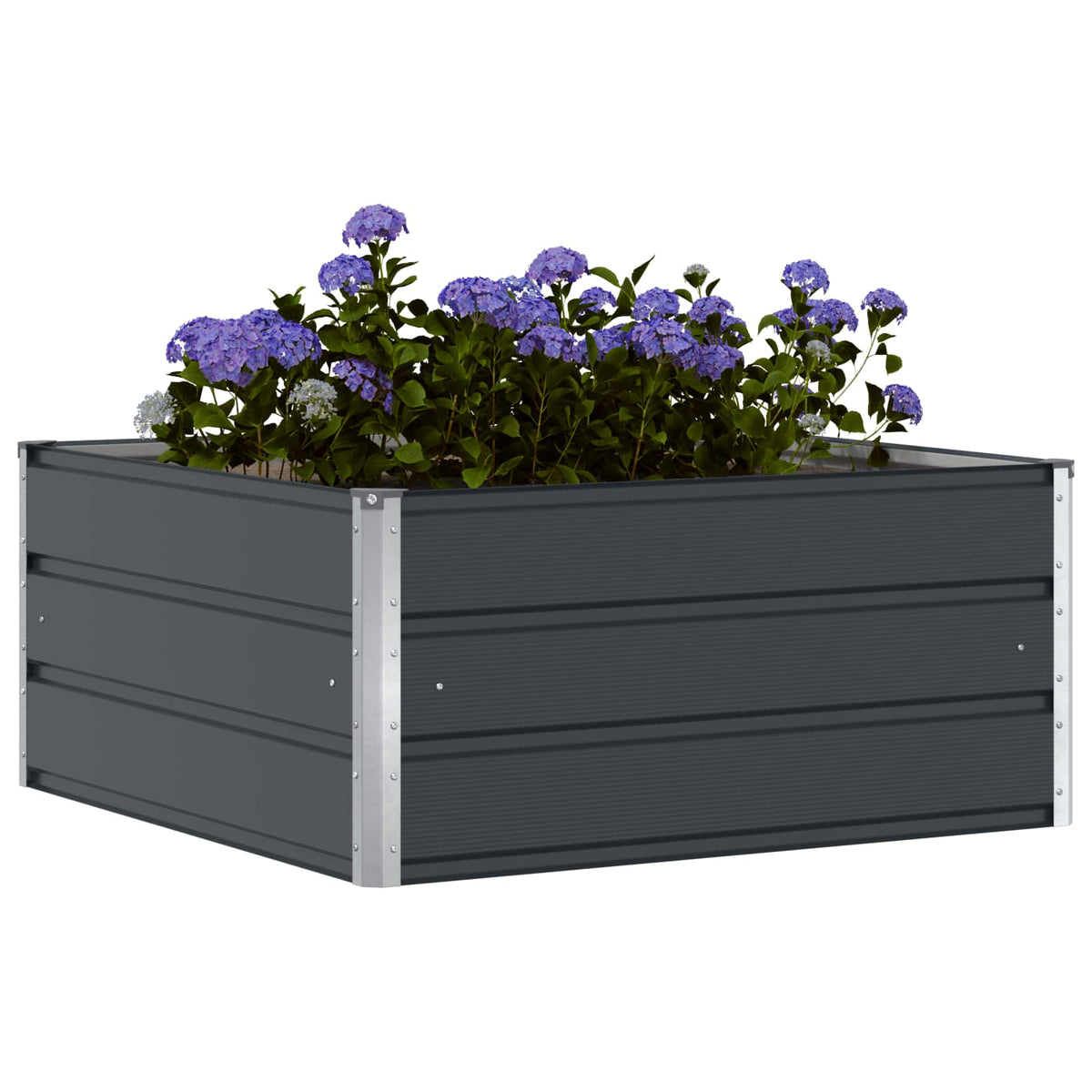 Planter Anthracite 100 x 100 x 45 cm Steel