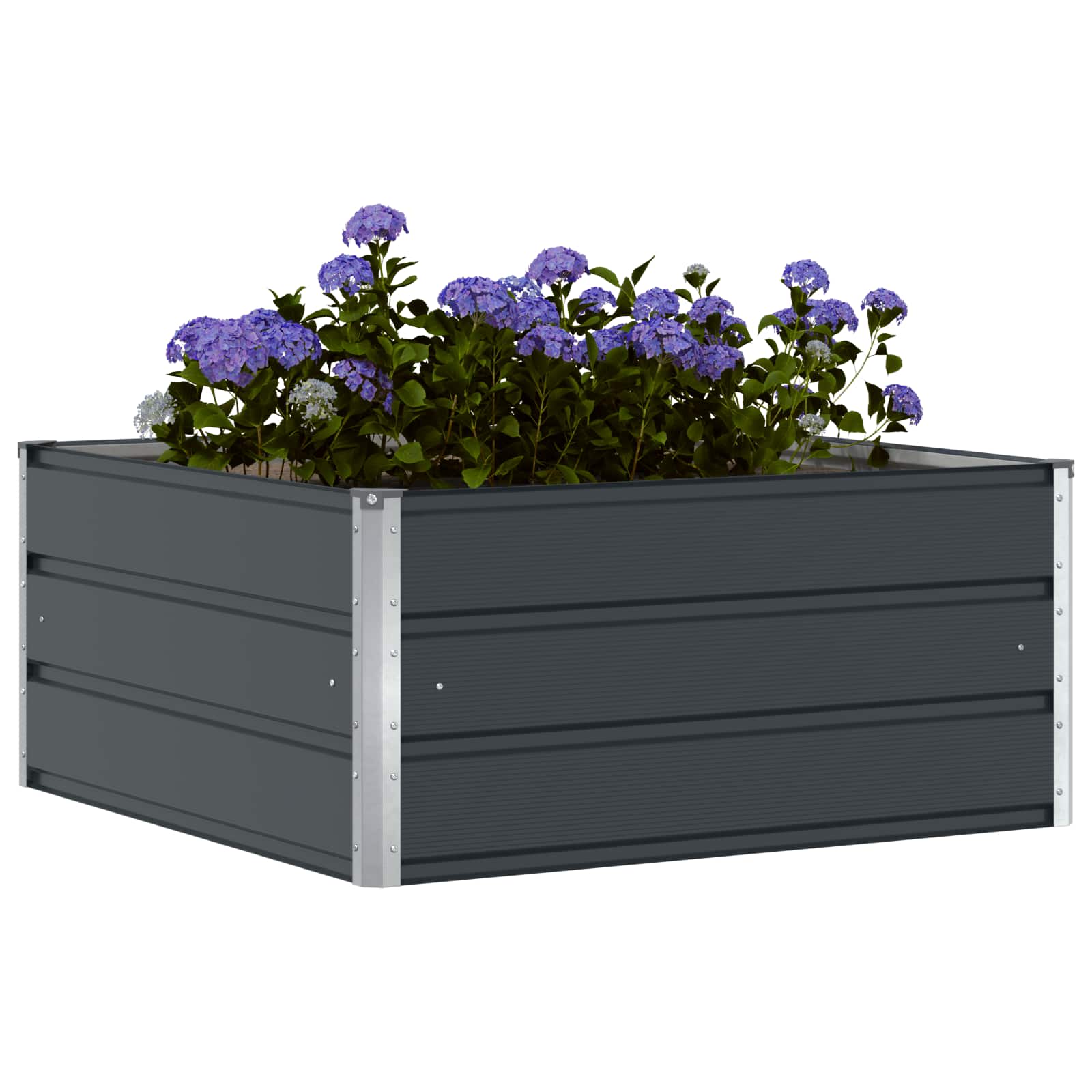 Planter Anthracite 100 x 100 x 45 cm Steel