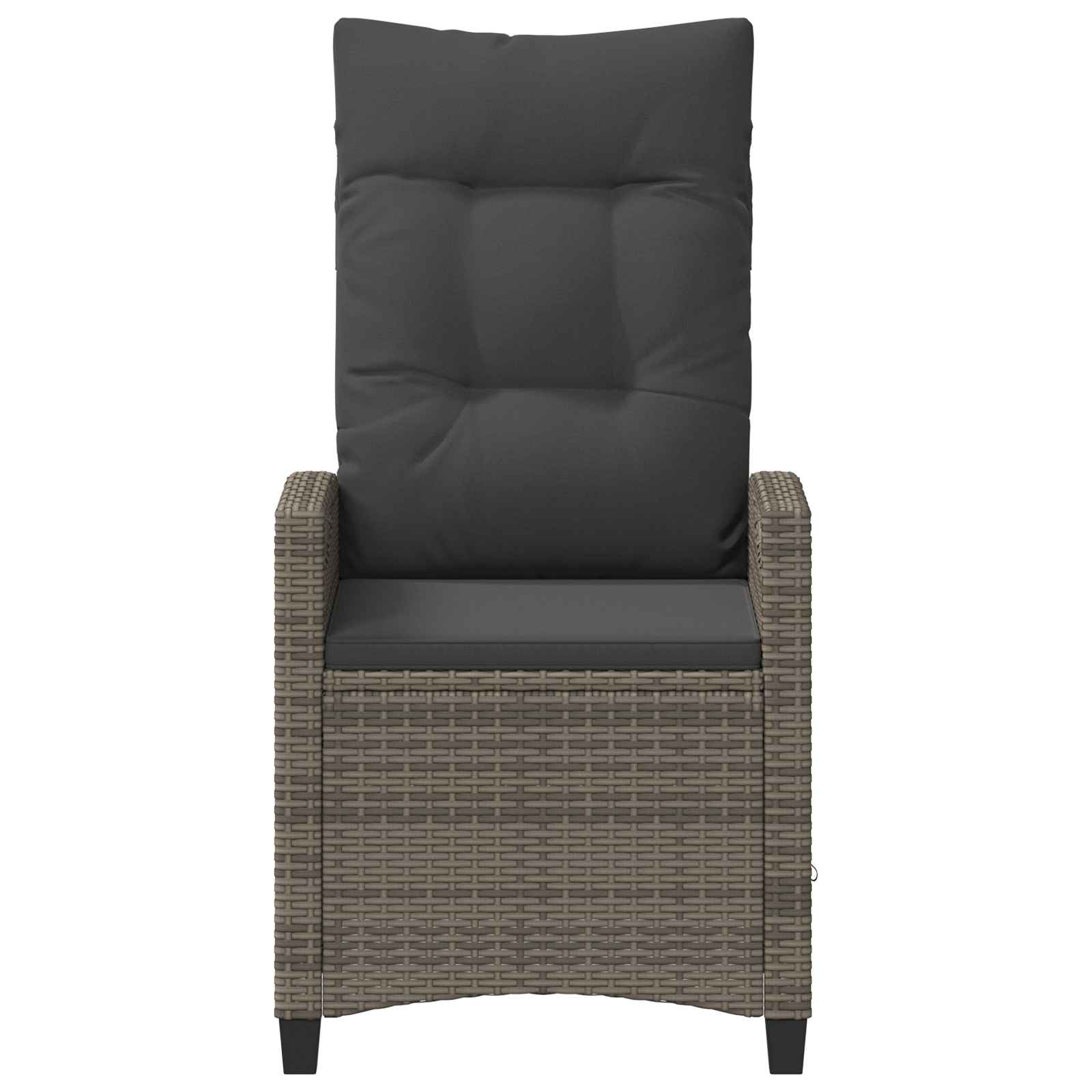 Garden Chair 2 pcs Grey and Dark Grey 56 x 60 x 112 cm