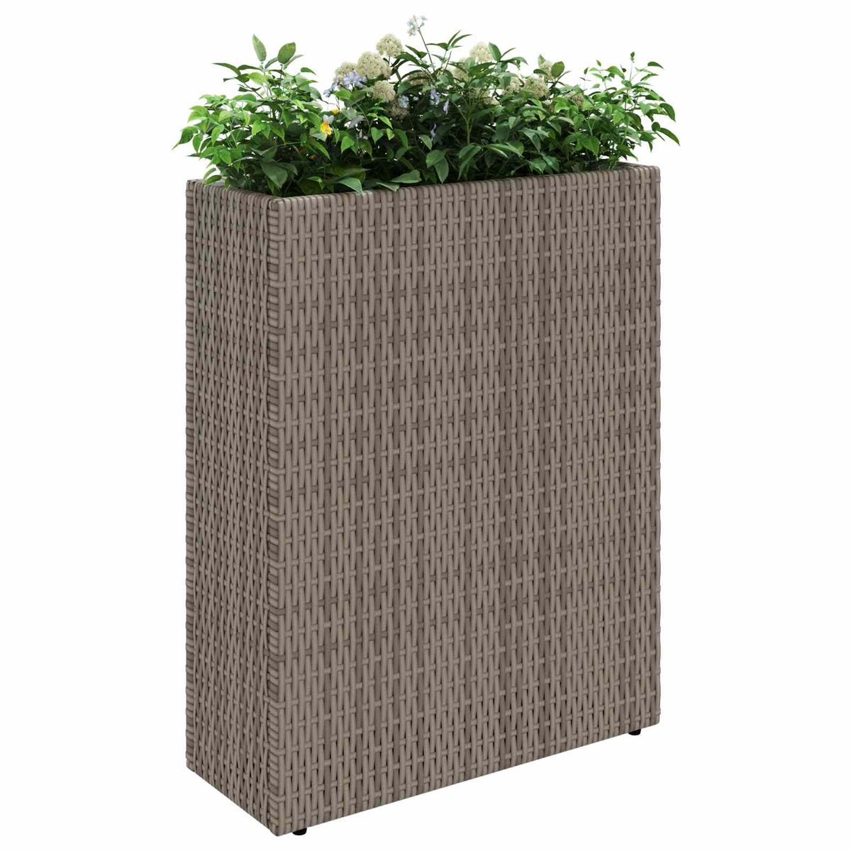 Tall Planter 55 x 22 x 70 cm Yes