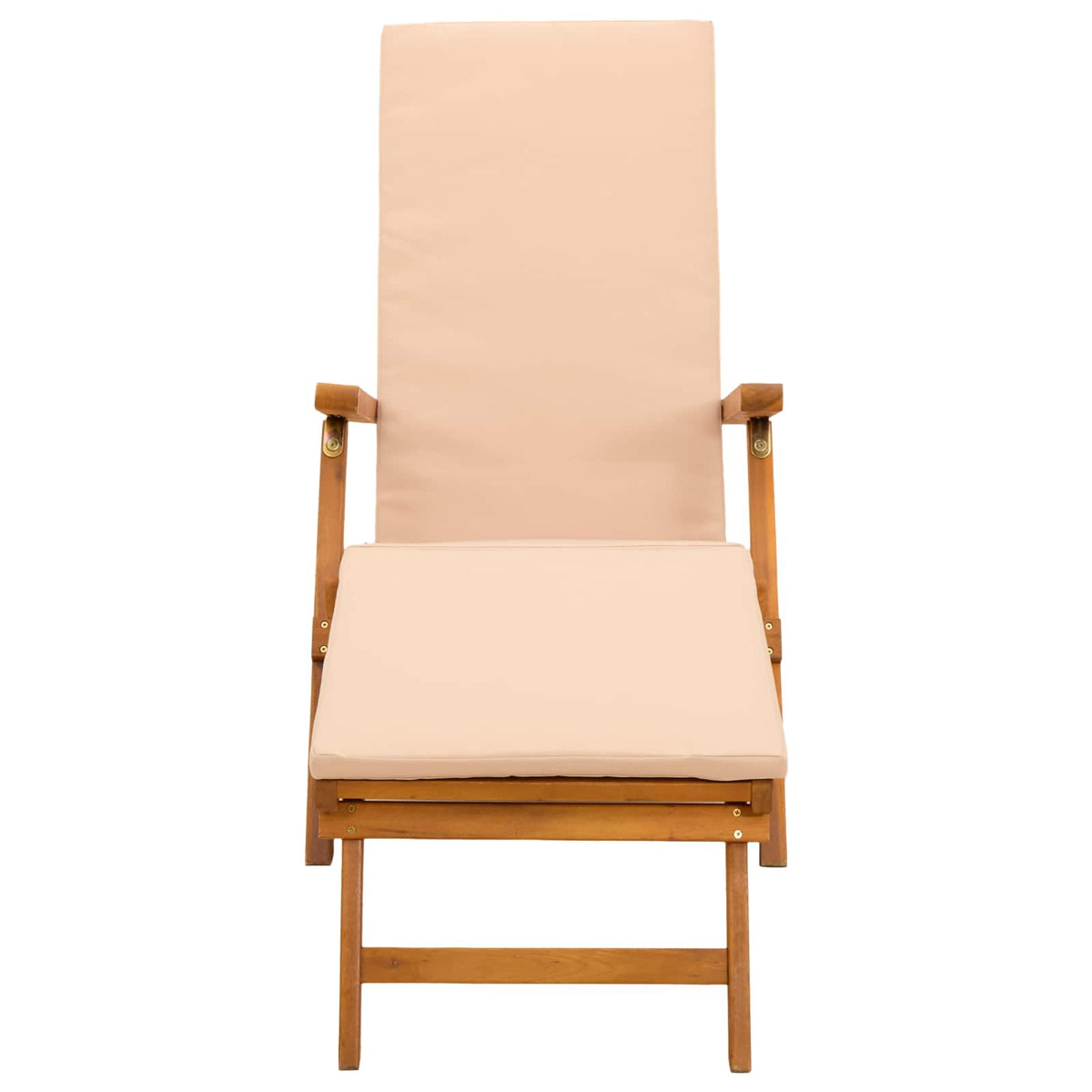 Reclining and Folding Sunlounger 55 x 146 x 91 cm