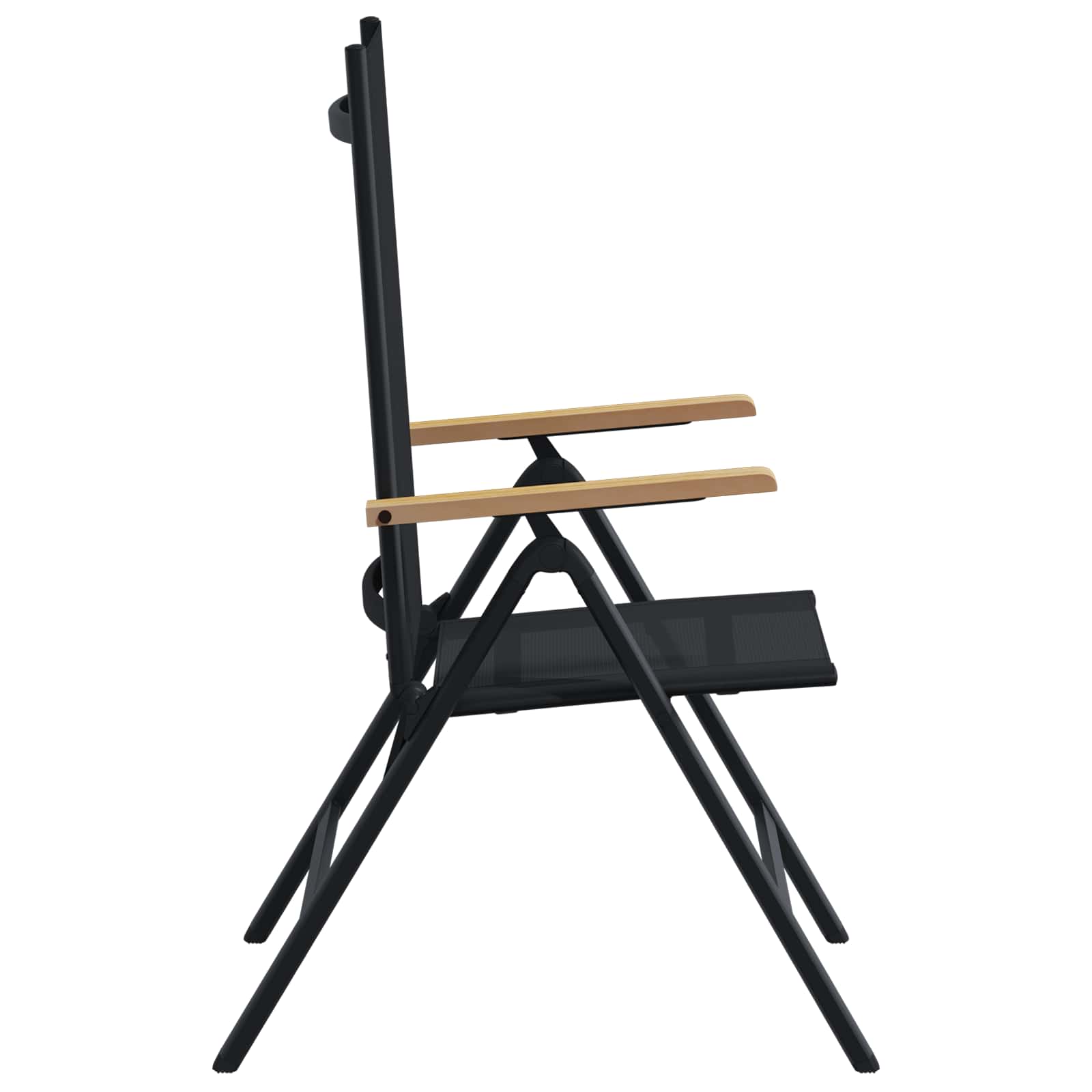 Reclining Garden Chairs 2 pcs Black 58 x 73 x 111.5 cm