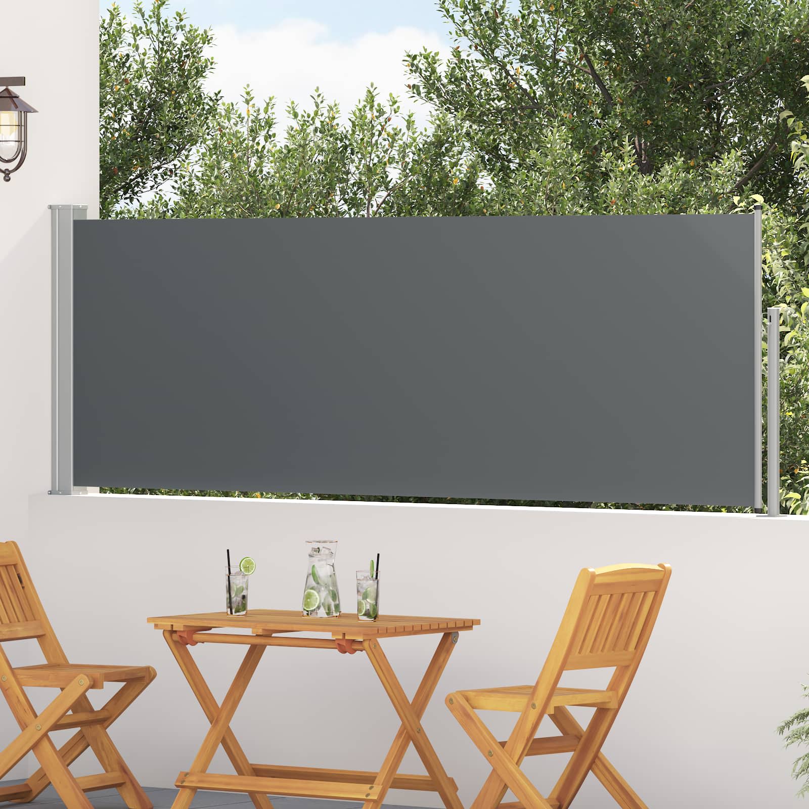 Retractable Side Awning Anthracite 300 x 100 cm Polyester