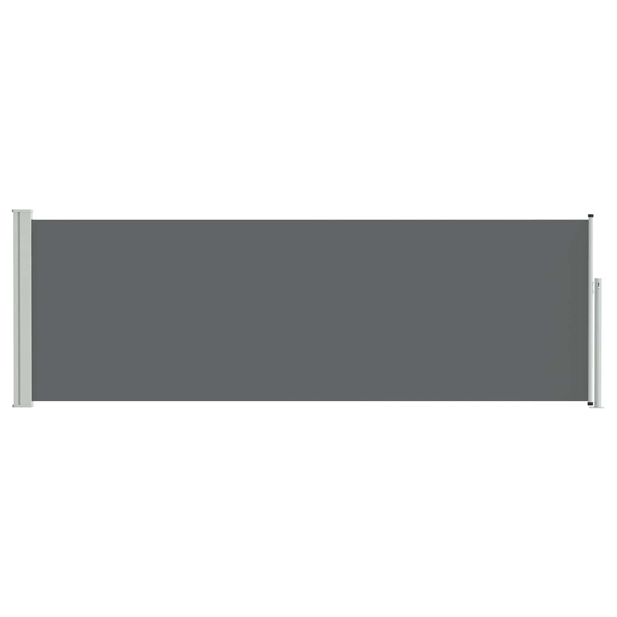 Retractable Side Awning Anthracite 300 x 100 cm Polyester