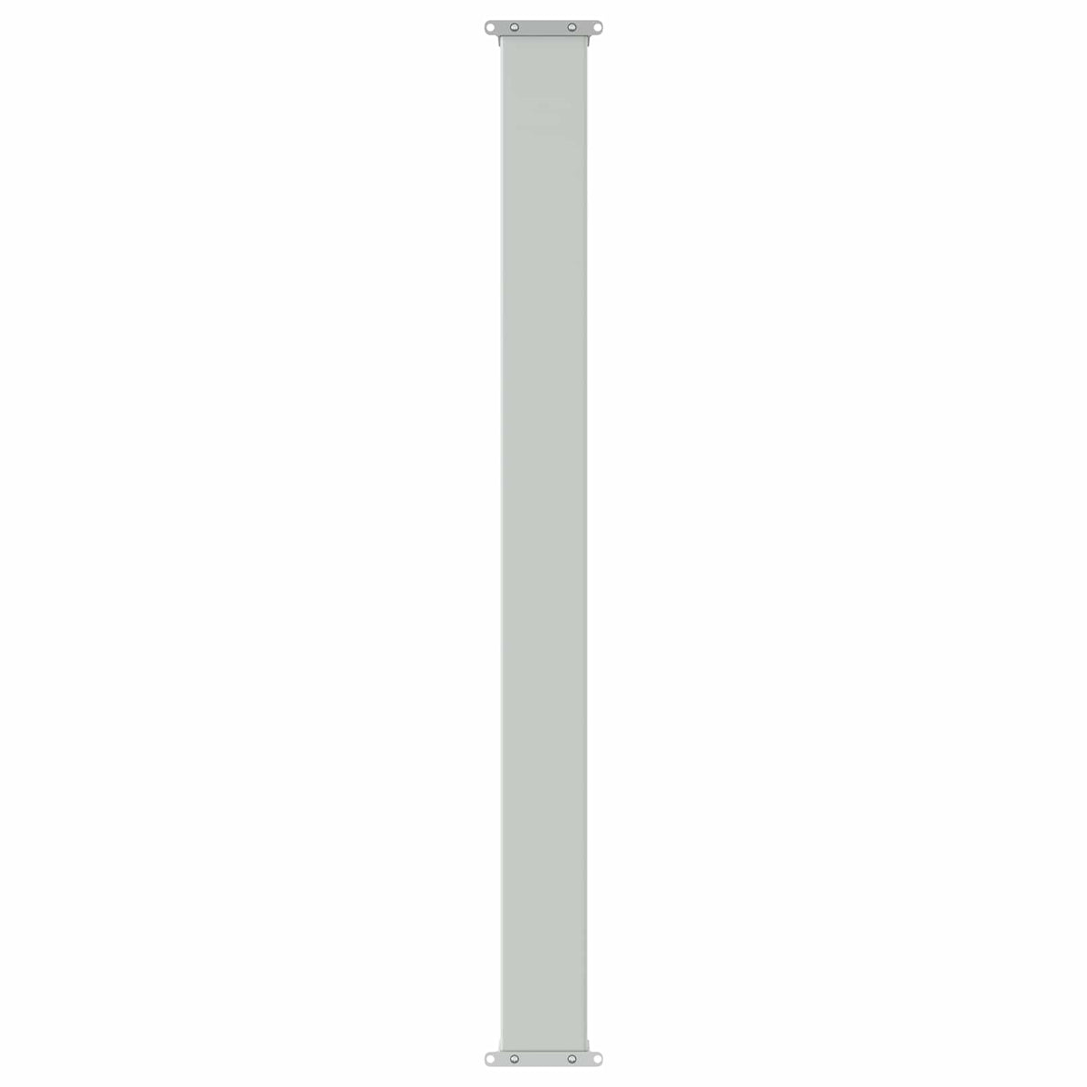 Retractable Side Awning Anthracite 300 x 100 cm Polyester