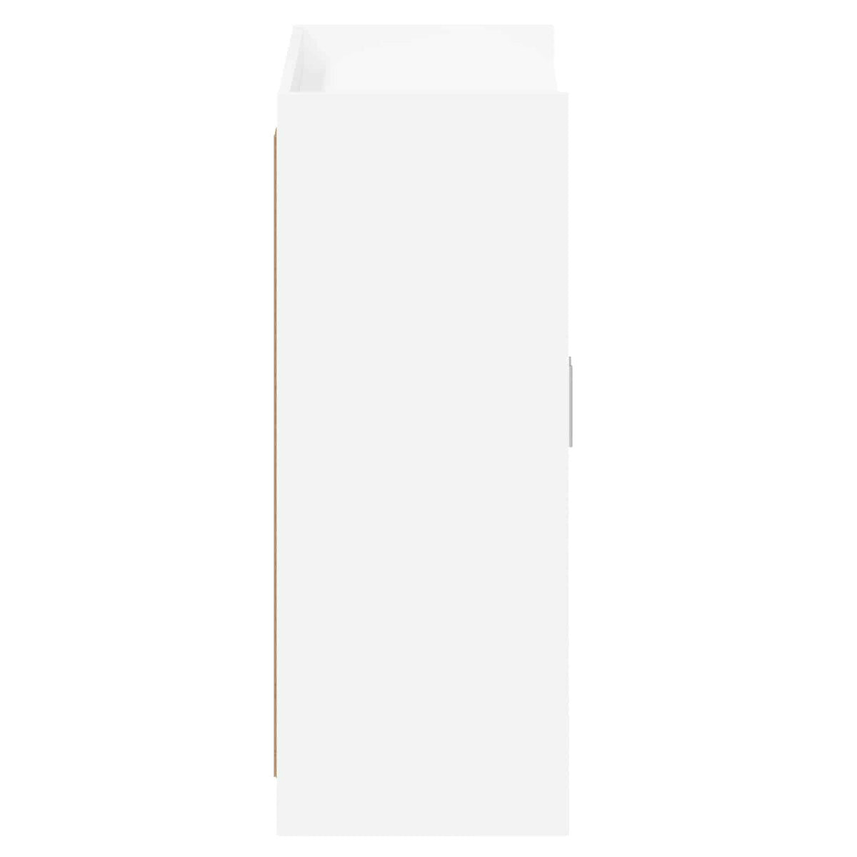 Shoe Cabinet with Door White 73.5 x 36 x 92 cm Engineered Wood