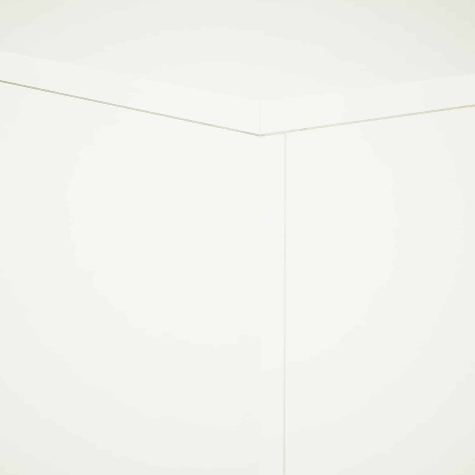 Plant Stand 2 pcs White 30 x 30 x 80 cm Steel