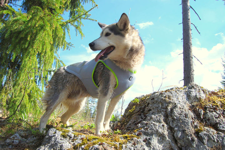 True Love Cooling Vest - Yellow, XS-1962324891877380100