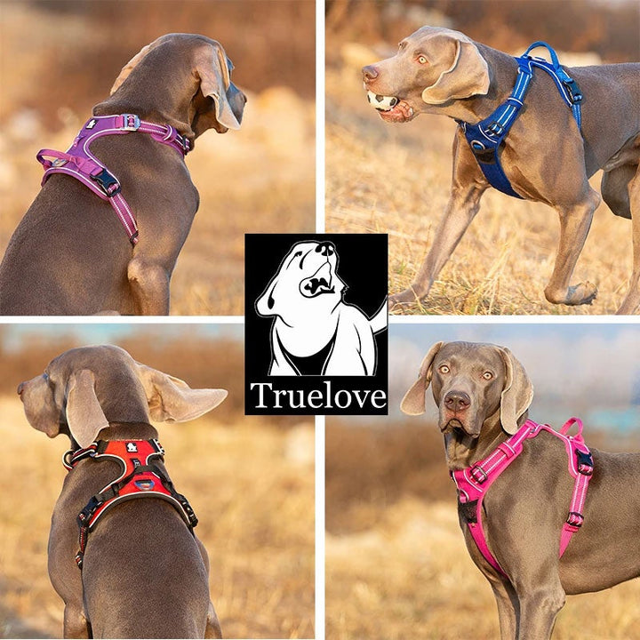 True Love No Pull Explosion Proof Dog Harness - Royal Blue, L-1831155631034339329