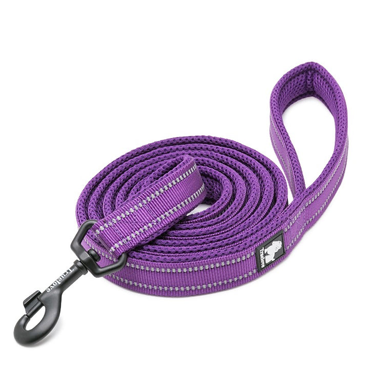 True Love Reflective Pet Leash 2m - Purple, L-1962324902631575552