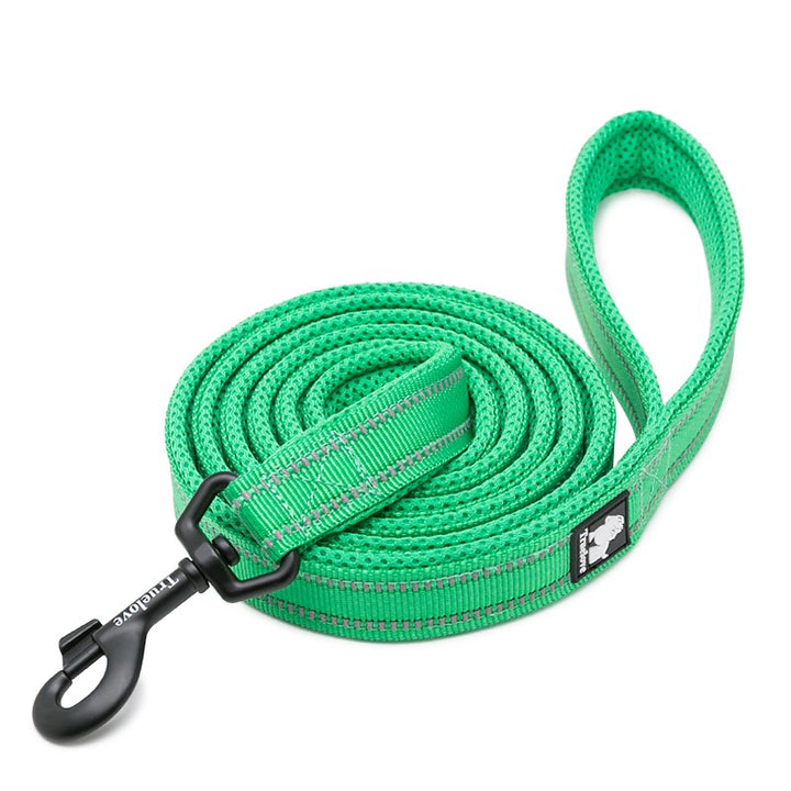 True Love Reflective Pet Leash 2m - Green, S-1962324900970631169