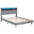 Artiss Bed Frame Double Size LED Mattress Base Platform with Storage Shelf Hidden Storage Box Grey