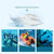 Action Camera Diving Snorkel Mask For Water Sports-1915196772821635078