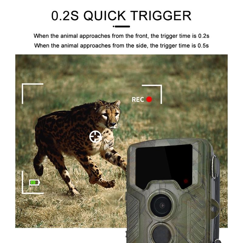 21Mp Hunting Trail Camera With 2.4 Tft Screen-1915197415510642693