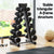 Everfit Dumbbells Rack 6 Tier Dumbbell Stand Home Gym Storage 200kg Capacity