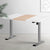 Artiss Standing Desk Electric Sit Stand Desks 120CM