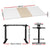 Artiss Standing Desk Motorised Electric Dual Motor 140cm