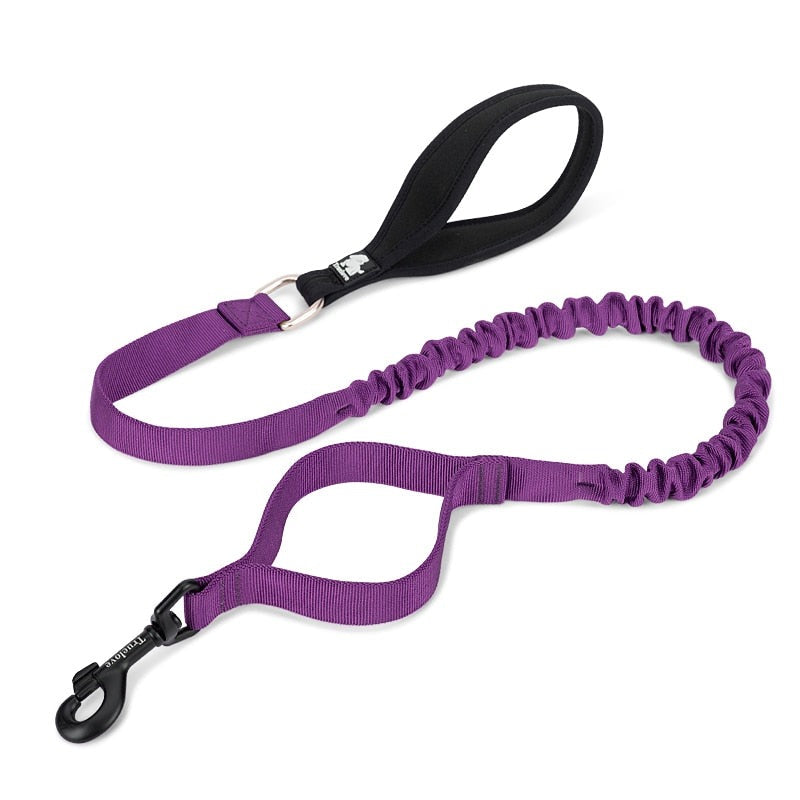 True Love Military Dog Leash 1.5 cm width and 1.4 m length  - Purple S-1962324905374650369