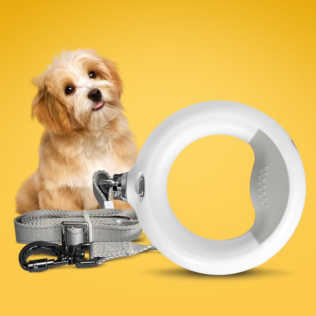 PaWz LED Dog Leash Lead Walking Rope White-1954802564662956038