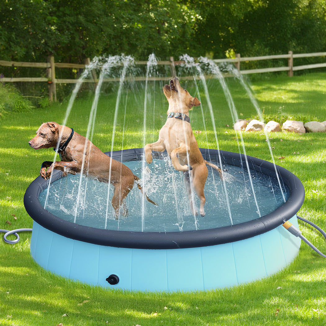 Pawz Folding Dog Swimming Pool-1954802425495949318