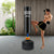 Centra Boxing Punching Bag Free Standing-1954802577631744006
