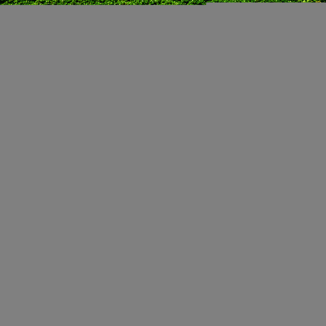 PaWz 160cm Pet Dog Swimming Pool Cat XXL XX-Large-1954802557390032902