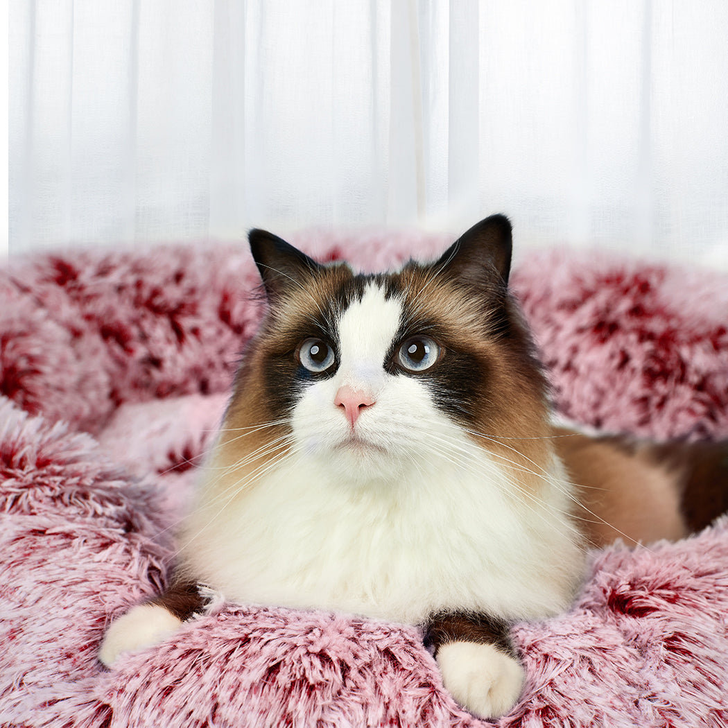 PaWz Pet Bed Memory Foam Dog Donut Pink Medium-1954802572376281094