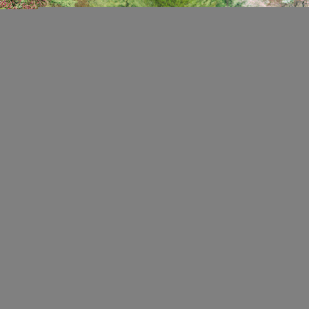 Centra 14 FT Kids Trampoline Pad Replacement-1954802491950501894