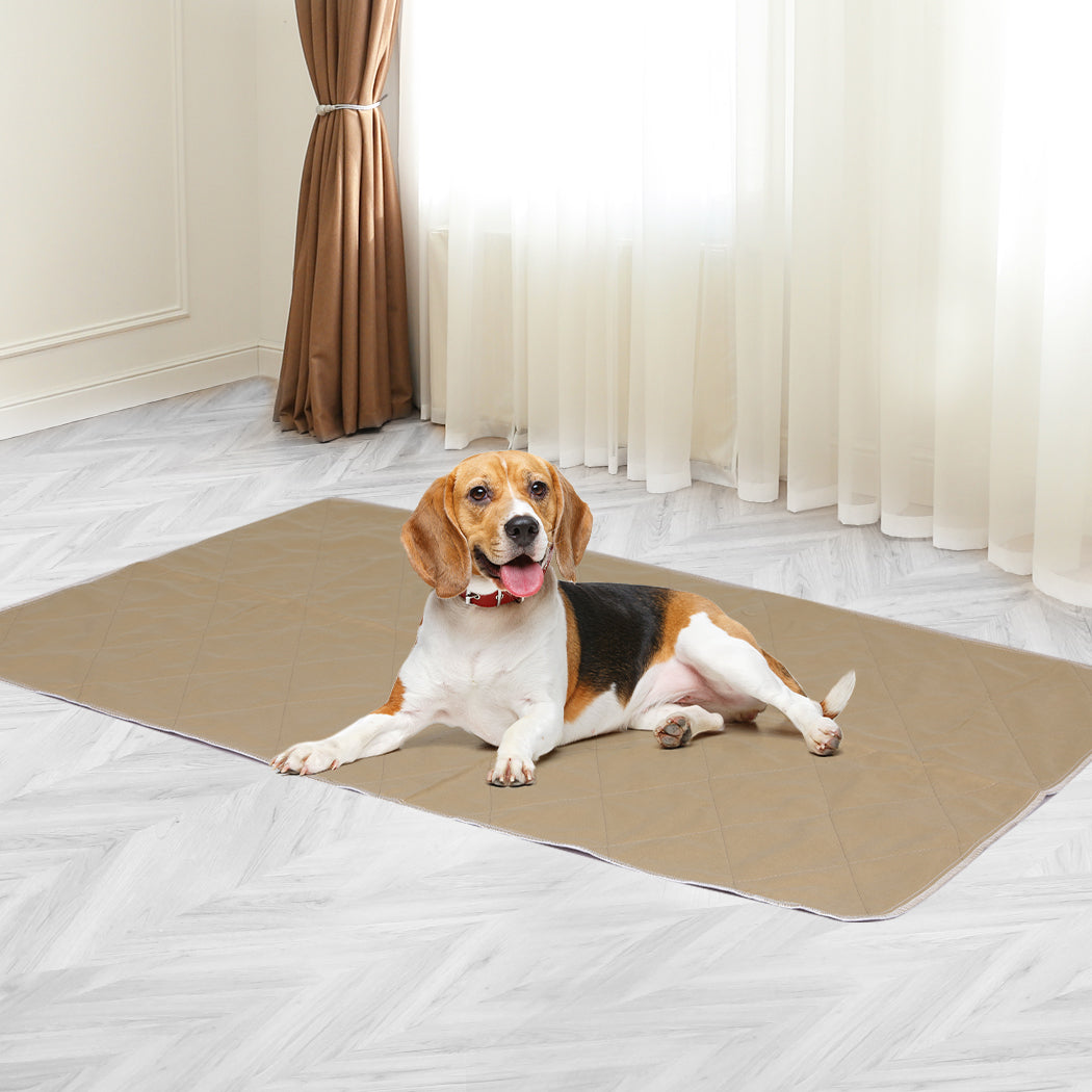 PaWz 2 Pcs 70x80 cm Reusable Waterproof X-Large-1910113000648478726