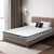 Dreamz Spring Mattress Pocket Bed Top Queen-1910112886794096646