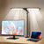 Emitto Double Head LED Desk Lamp Dimmable With Clamp-1910149778696704006