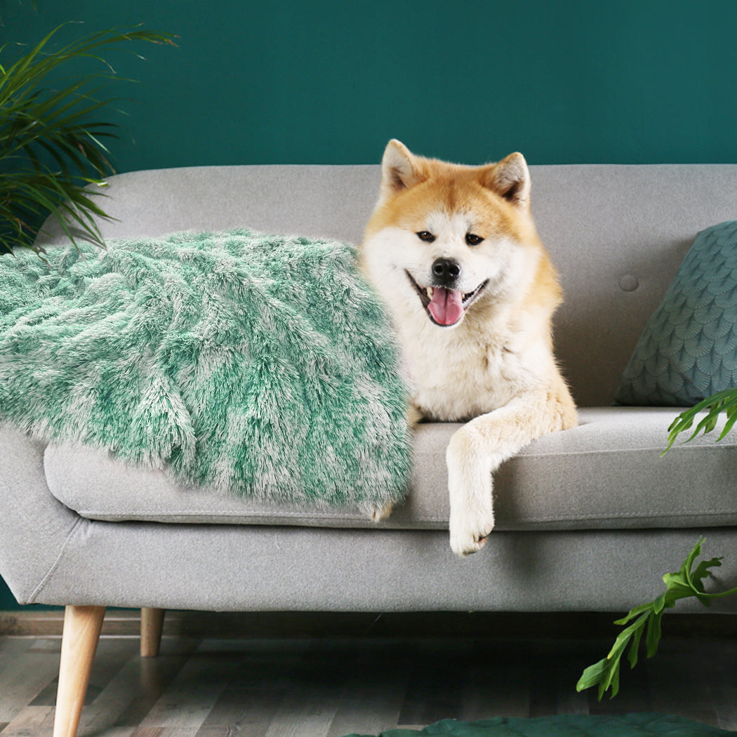 PaWz Dog Blanket Pet Cat Mat Puppy Warm Teal-1954802545037807622
