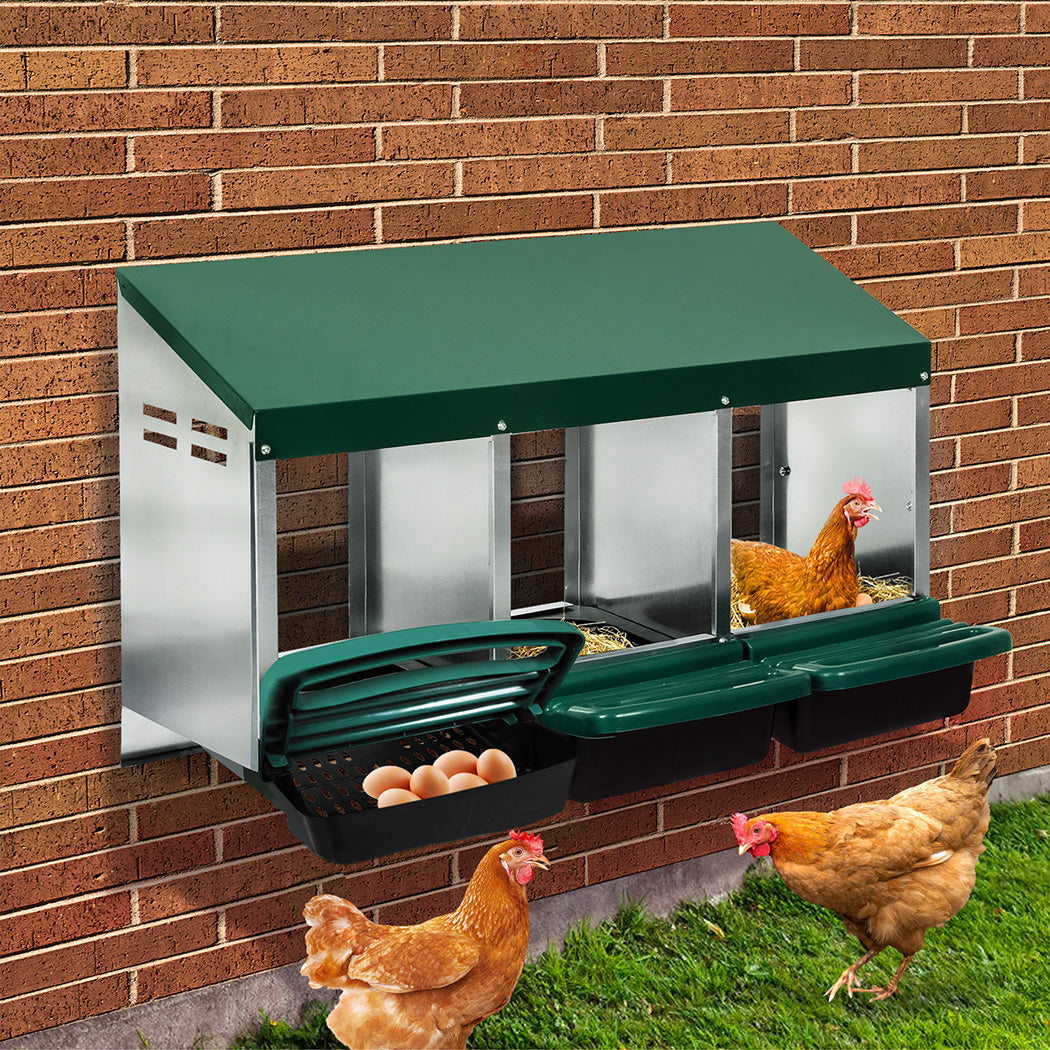 Pawz Chicken Hen Coop Hutch-1954802447176306694