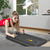 Centra Multifunctional Fitness Abdominal Board Grey-1954802454889631750