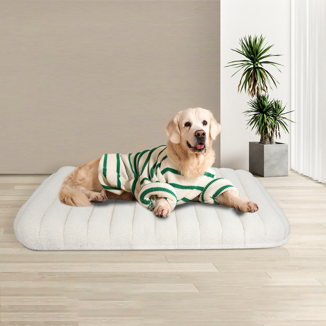 Pawz L Size Orthopedic Dog Bed with Sherpa Plush Removable Cover in White-1954802481838034950
