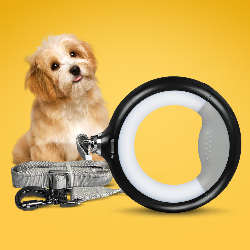 PaWz LED Dog Leash Lead Walking Rope Black-1954802564478406662