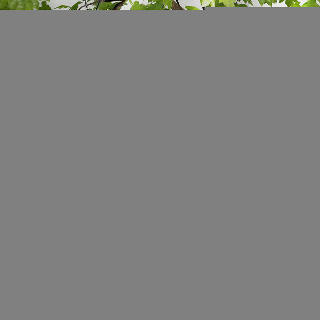 PaWz 3x Bird Feeder Hanging Wild Seed-1954802395577978886