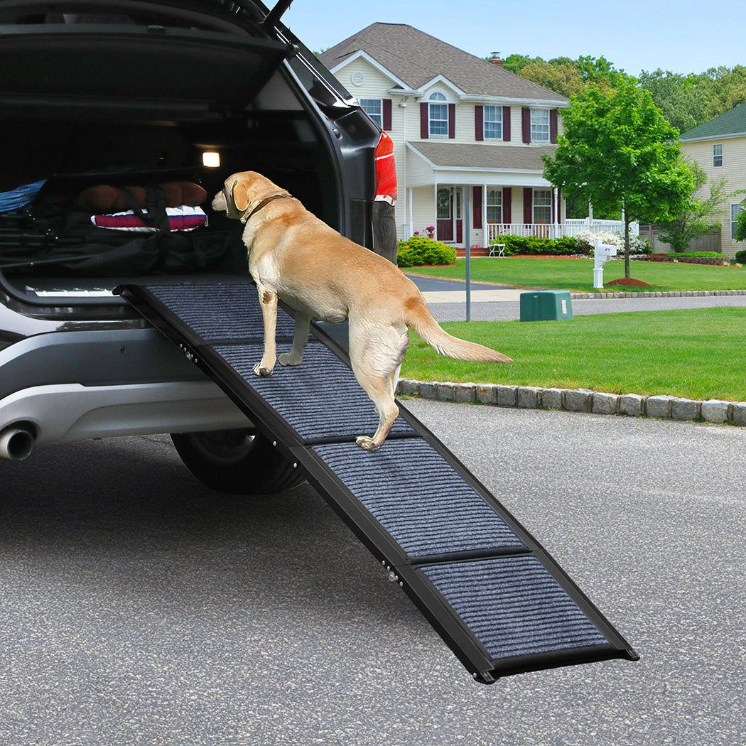 Pawz Dog Ramp-1954802424237658118
