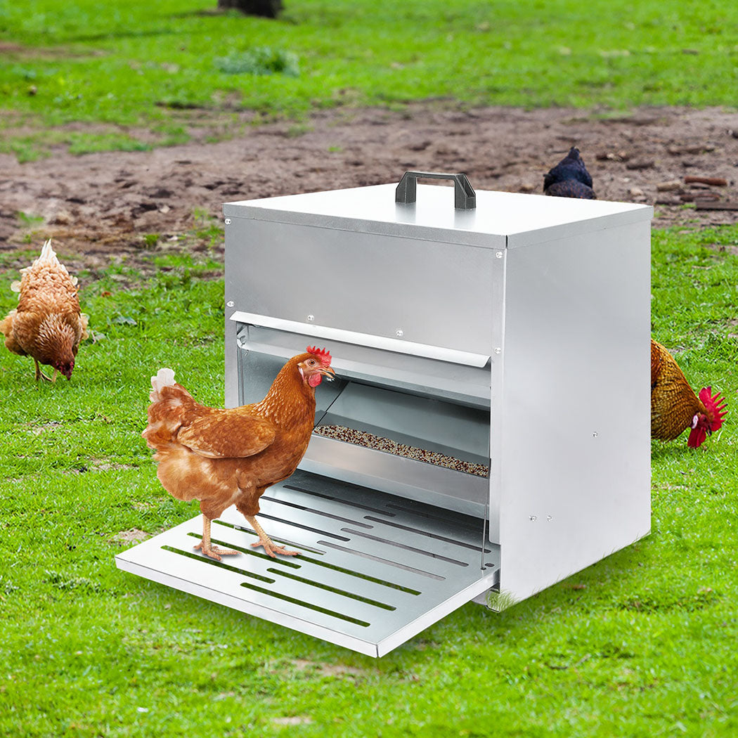 PaWz 10KG Auto Chicken Feeder Dispenser Galvanised Steel-1954802454285651974