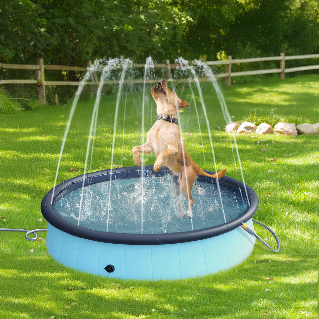 Pawz Folding Dog Swimming Pool-1954802425097490438