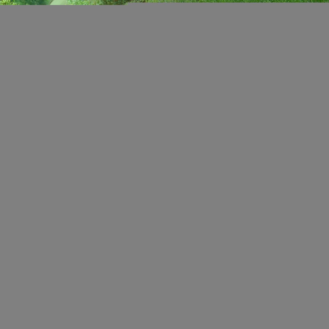 Grow Tent Indoor System Hydroponics 75x75x160cm-1954802510988447750