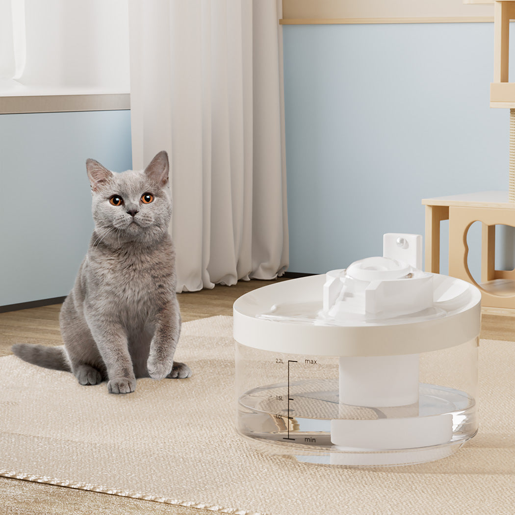 Pawz Automatic Sensor Pet Water Fountain Dog Cat Drinking Dispenser 2.2L Filter-1954802395762528262