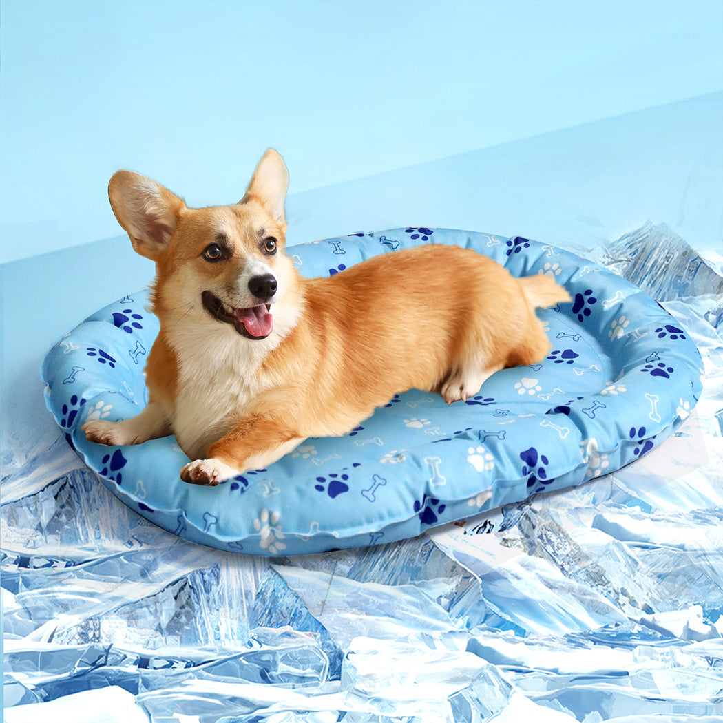 Pawz Pet Cooling Mat M Blue-1954802430726246406