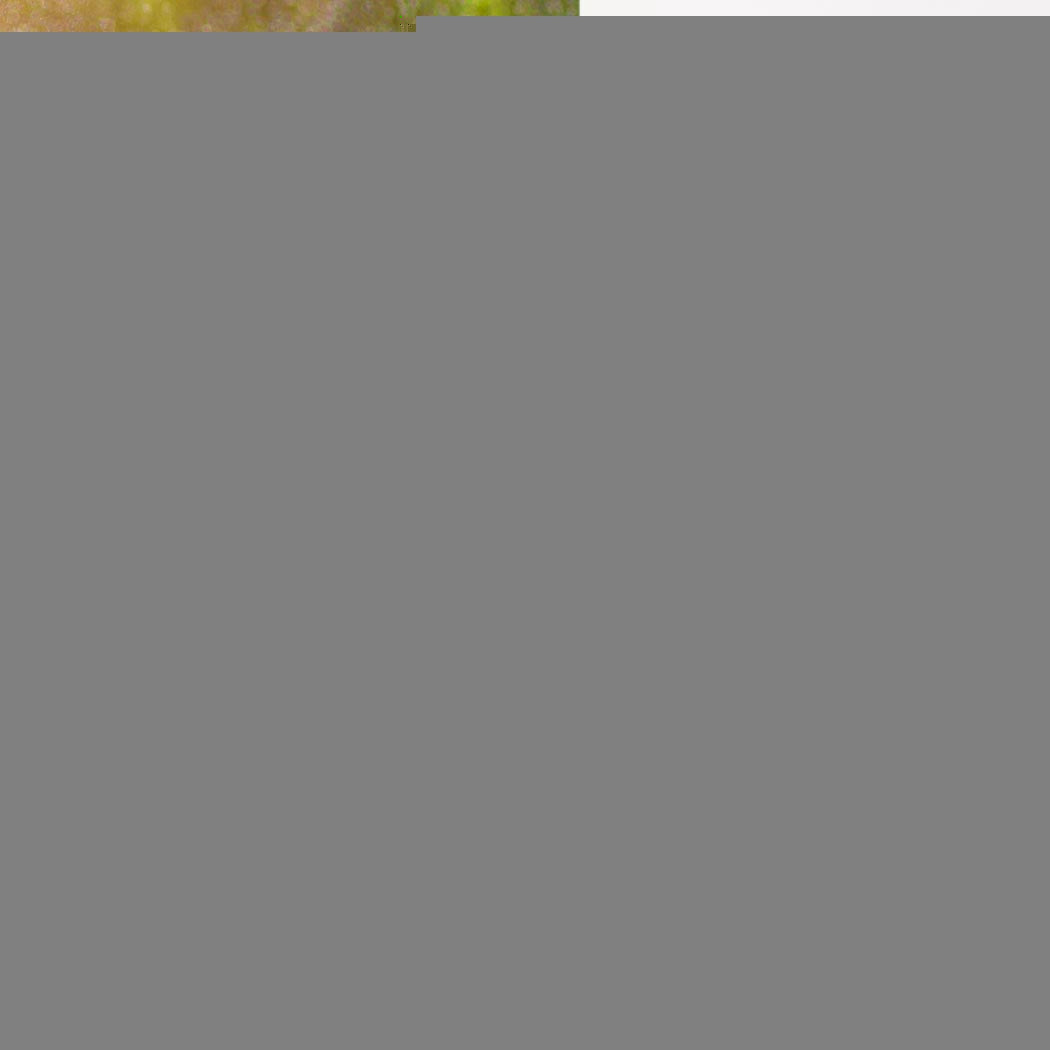 Lambu Water Tap Timer Irrigation Automatic-1954802671374438406