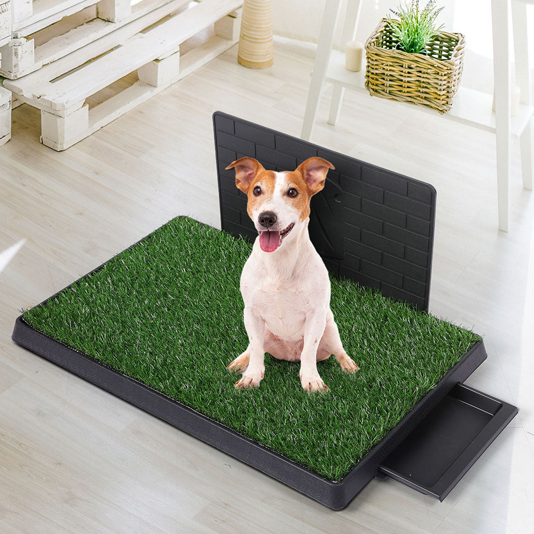 PaWz Indoor Dog Pet Grass Potty Training L-1954802530101891078