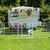PaWz 8 Panel 48'' Pet Dog Playpen Puppy White 4kg chicken-1973193828466823175