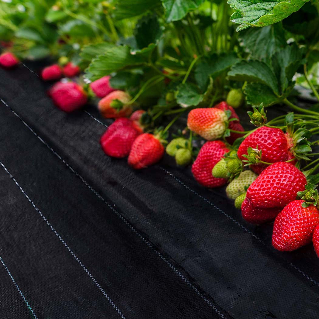 Lambu Weed Mat 0.915mx50m Plant Control Small-1910112305891381255