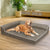 Pawz Orthopedic Dog Bed XXL Coffee-1954802428159332359