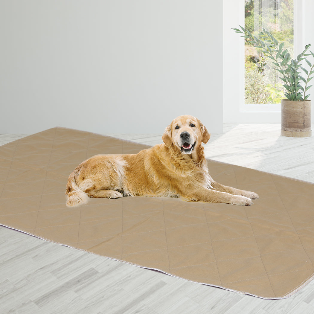 PaWz 4 Pcs 120x180 cm Reusable Waterproof KING-1910112999629262855